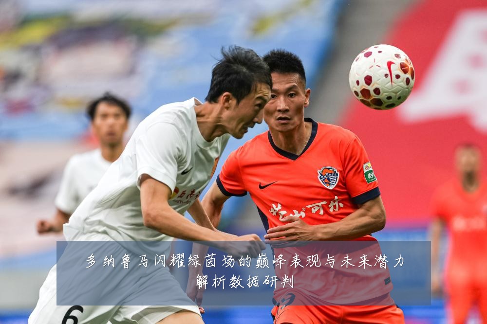多纳鲁马闪耀绿茵场的巅峰表现与未来潜力解析数据研判