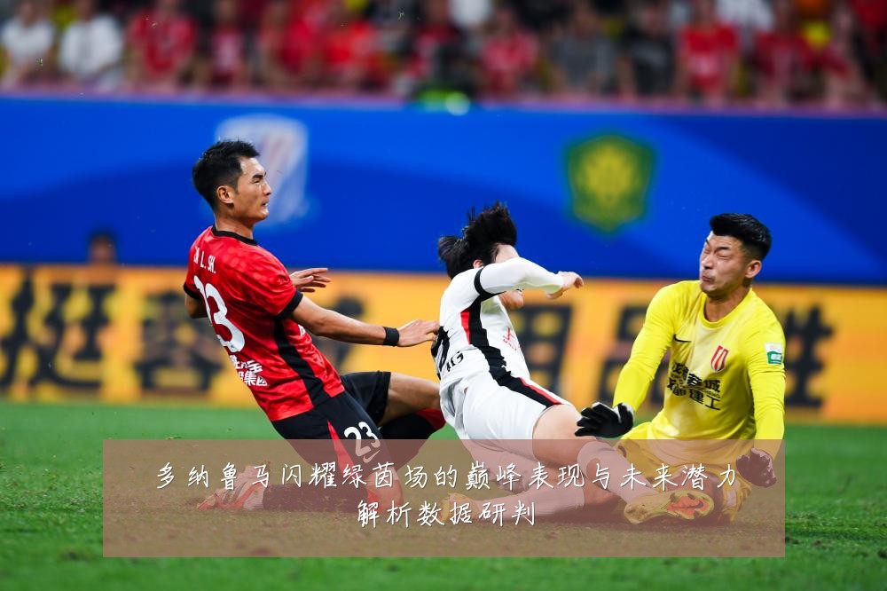 多纳鲁马闪耀绿茵场的巅峰表现与未来潜力解析数据研判